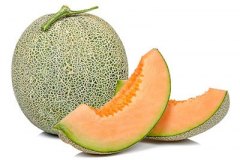 rock-melon